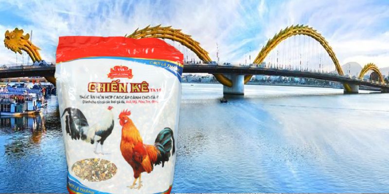 Lựa chọn thức ăn cho gà đá nào cho phù hợp