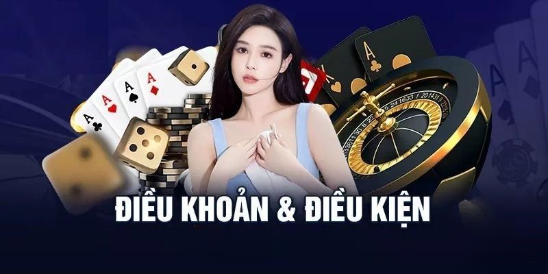 Điều khoản điều kiện được hiểu là gì